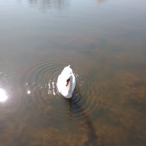 Meet your Posher, Marlen